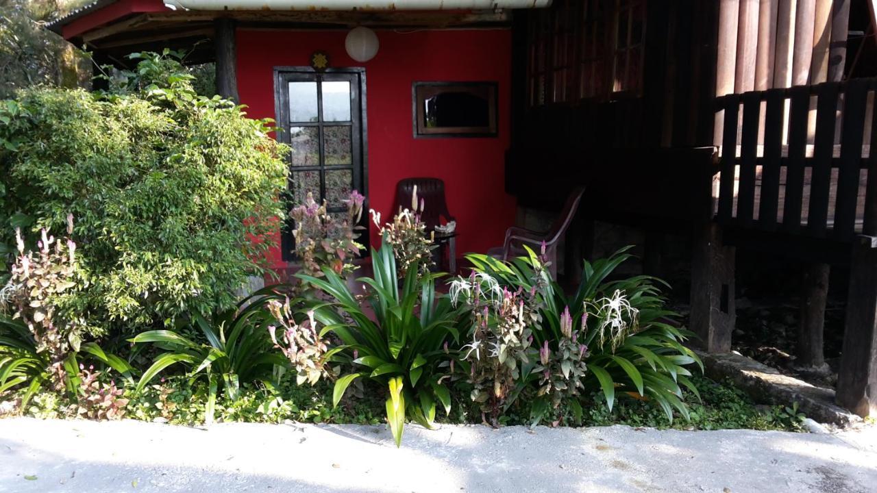 Liberta Homestay 图克图克 外观 照片